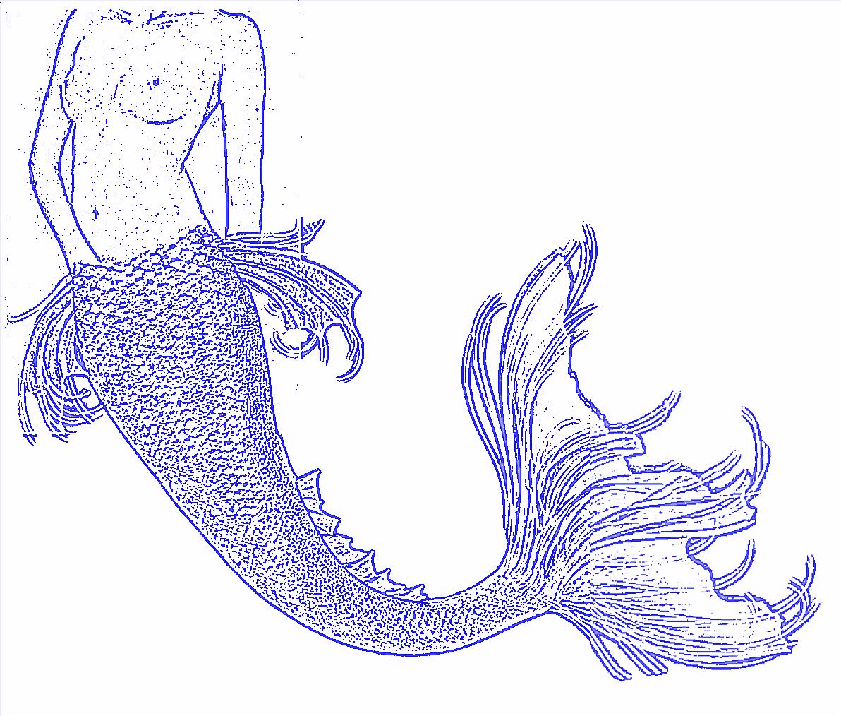 Mermaid illustration by Inês Reis (@inesreisx)