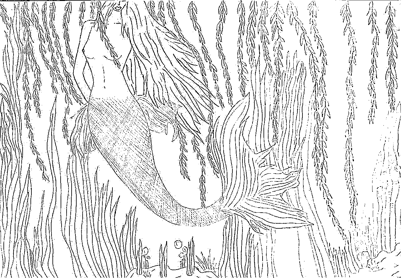 Mermaid illustration by Inês Reis (@inesreisx)