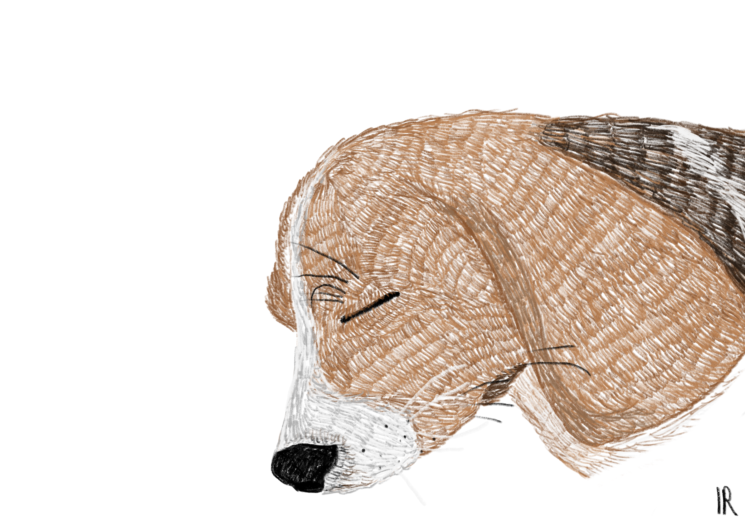 Digital drawing by Inês Reis (@inesreisx)