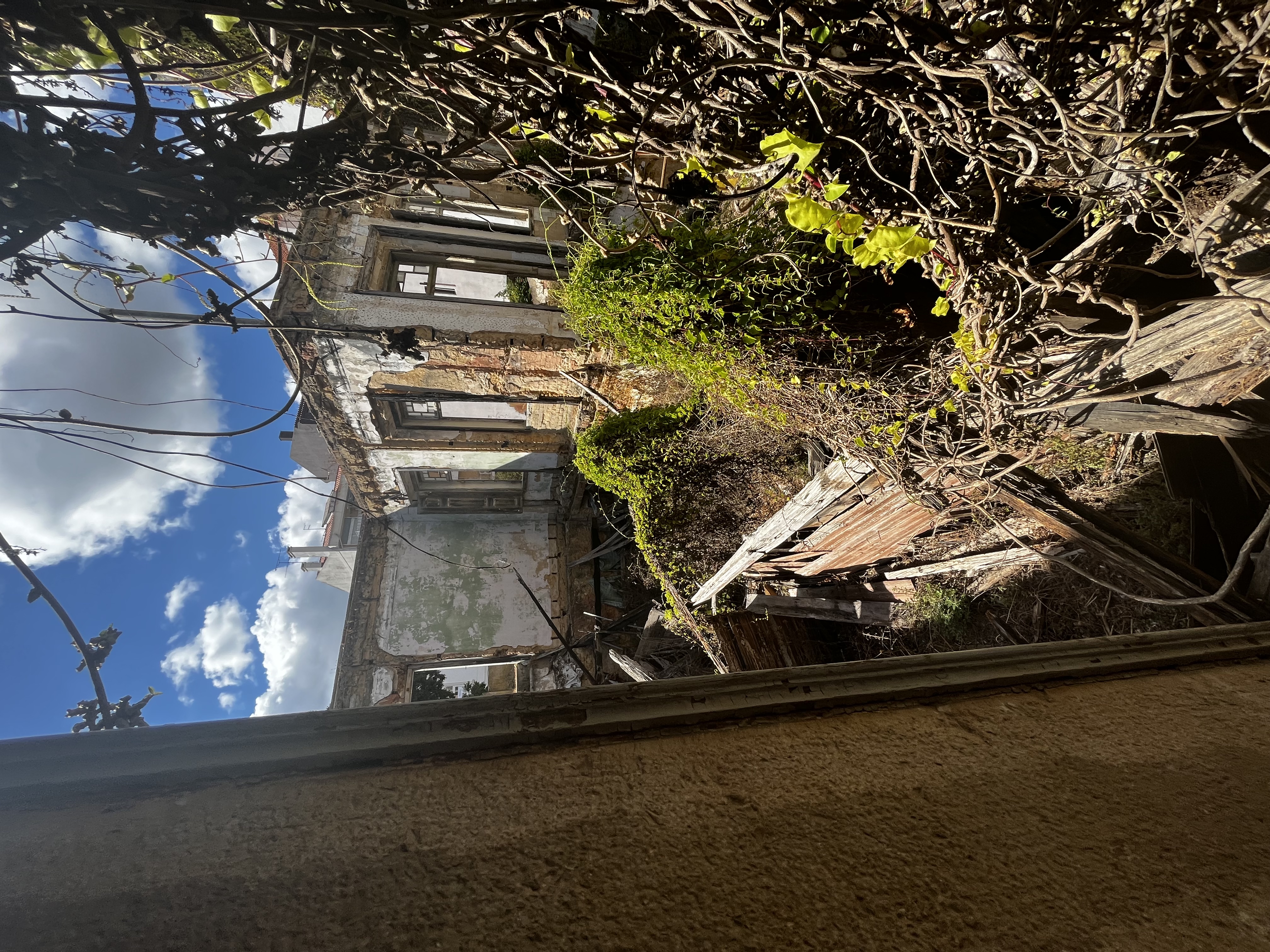 Portugal through Inês Reis eyes @inesreisx