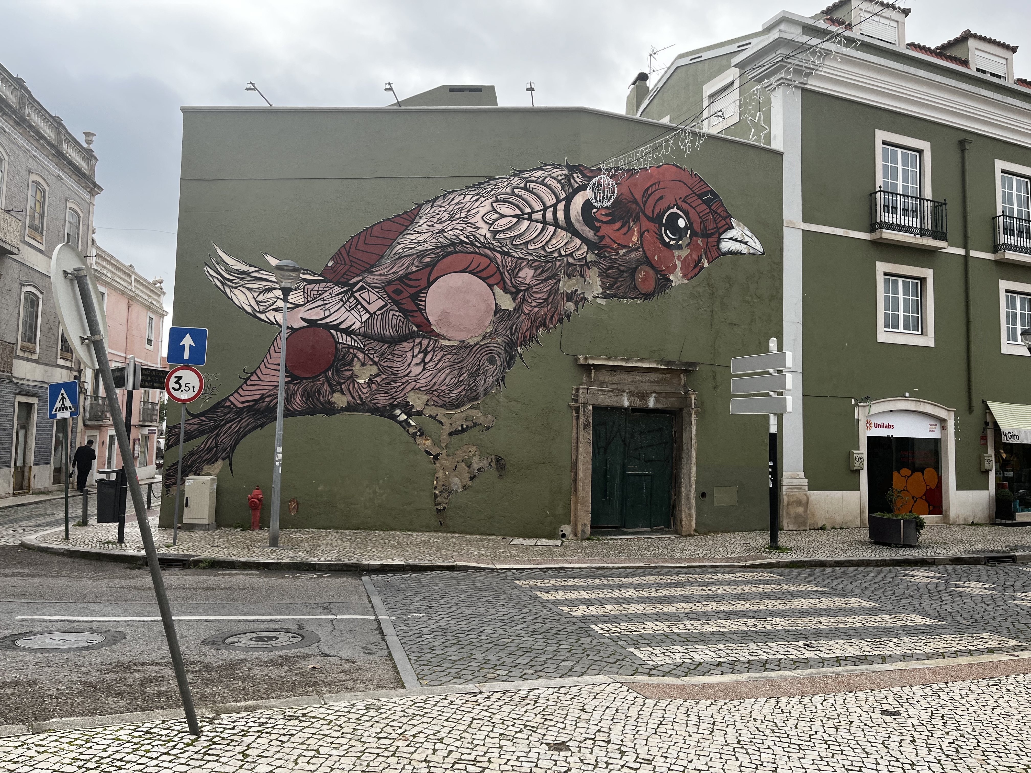 Portugal through Inês Reis eyes @inesreisx