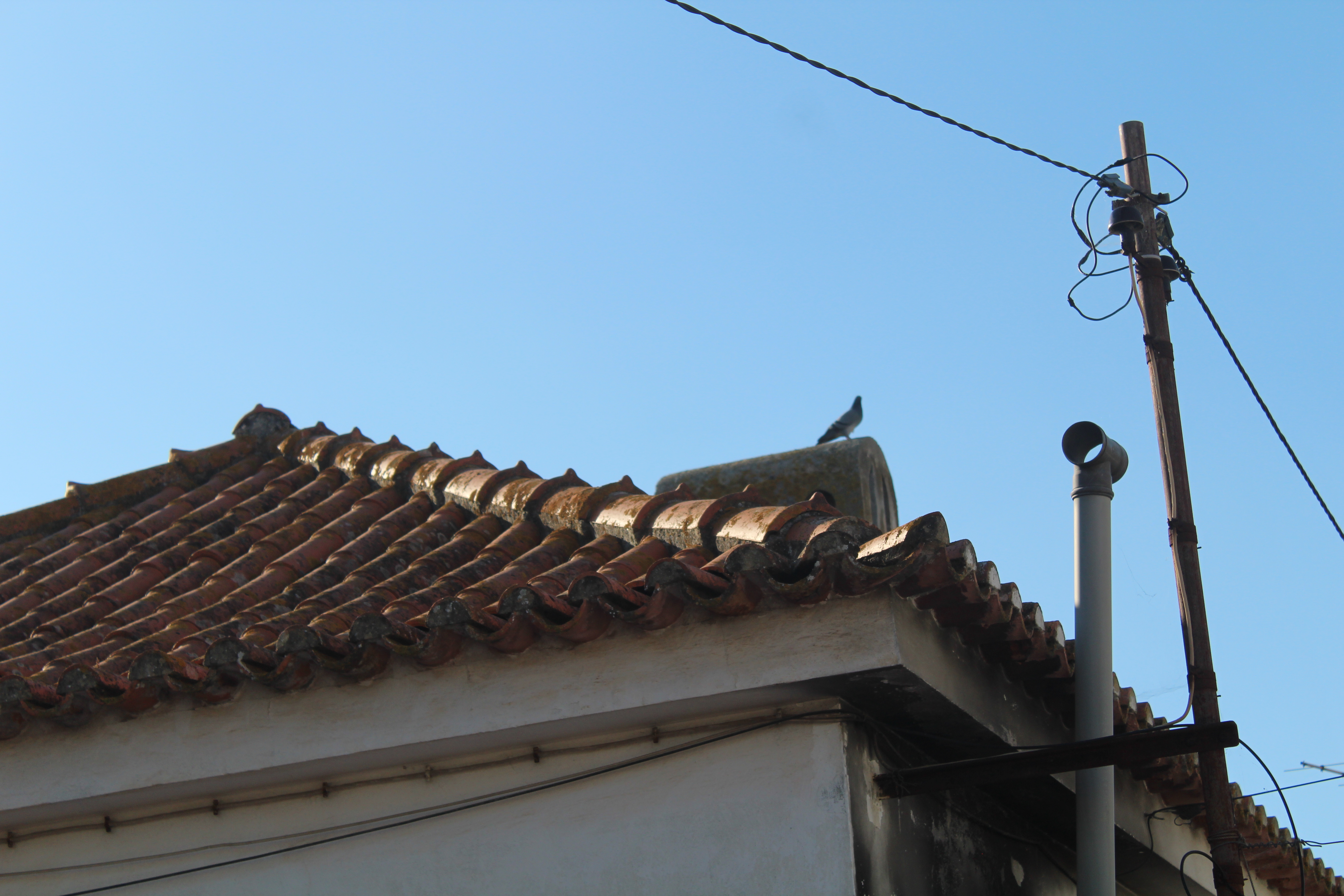 Portugal through Inês Reis eyes @inesreisx