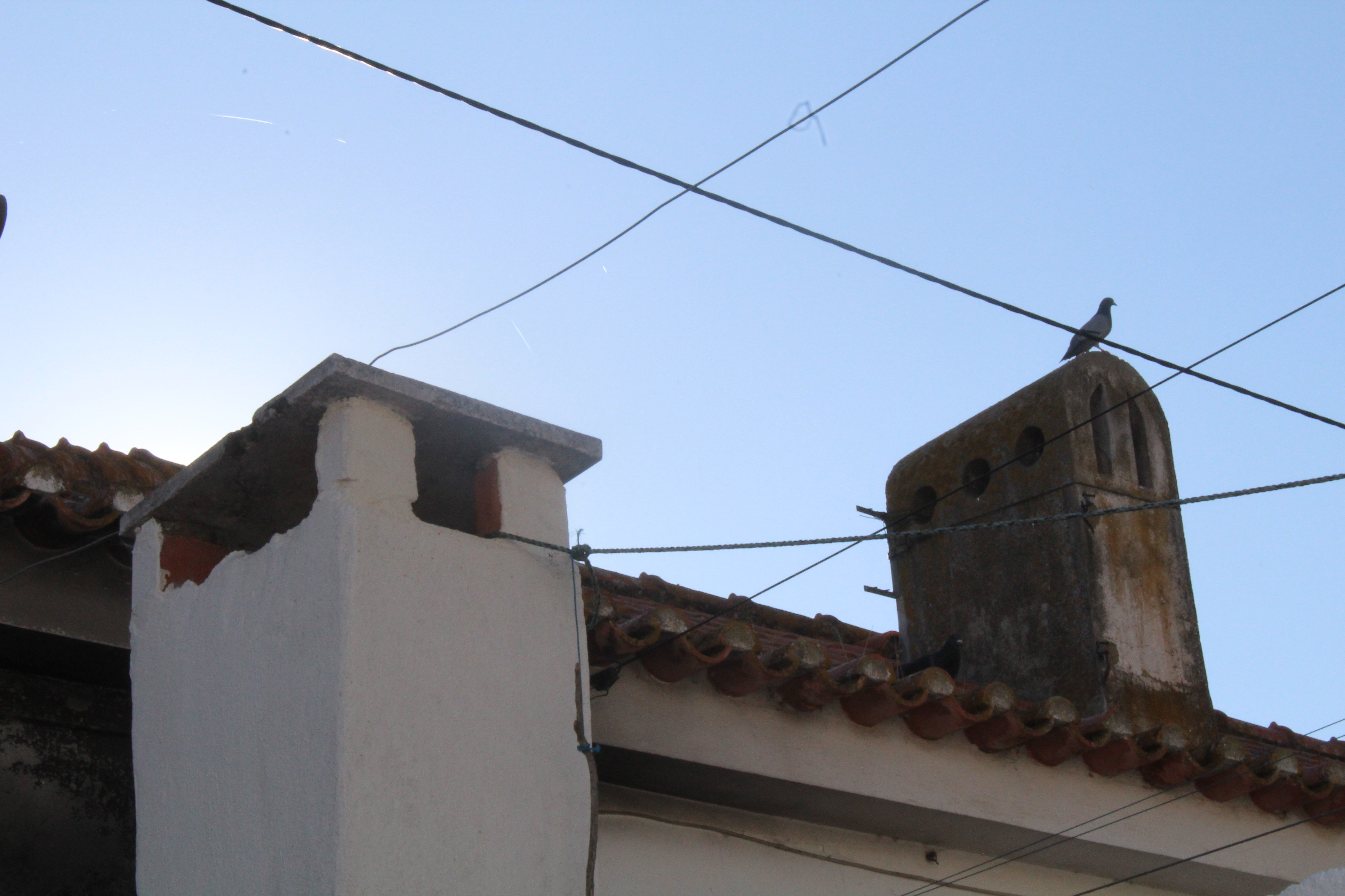 Portugal through Inês Reis eyes @inesreisx