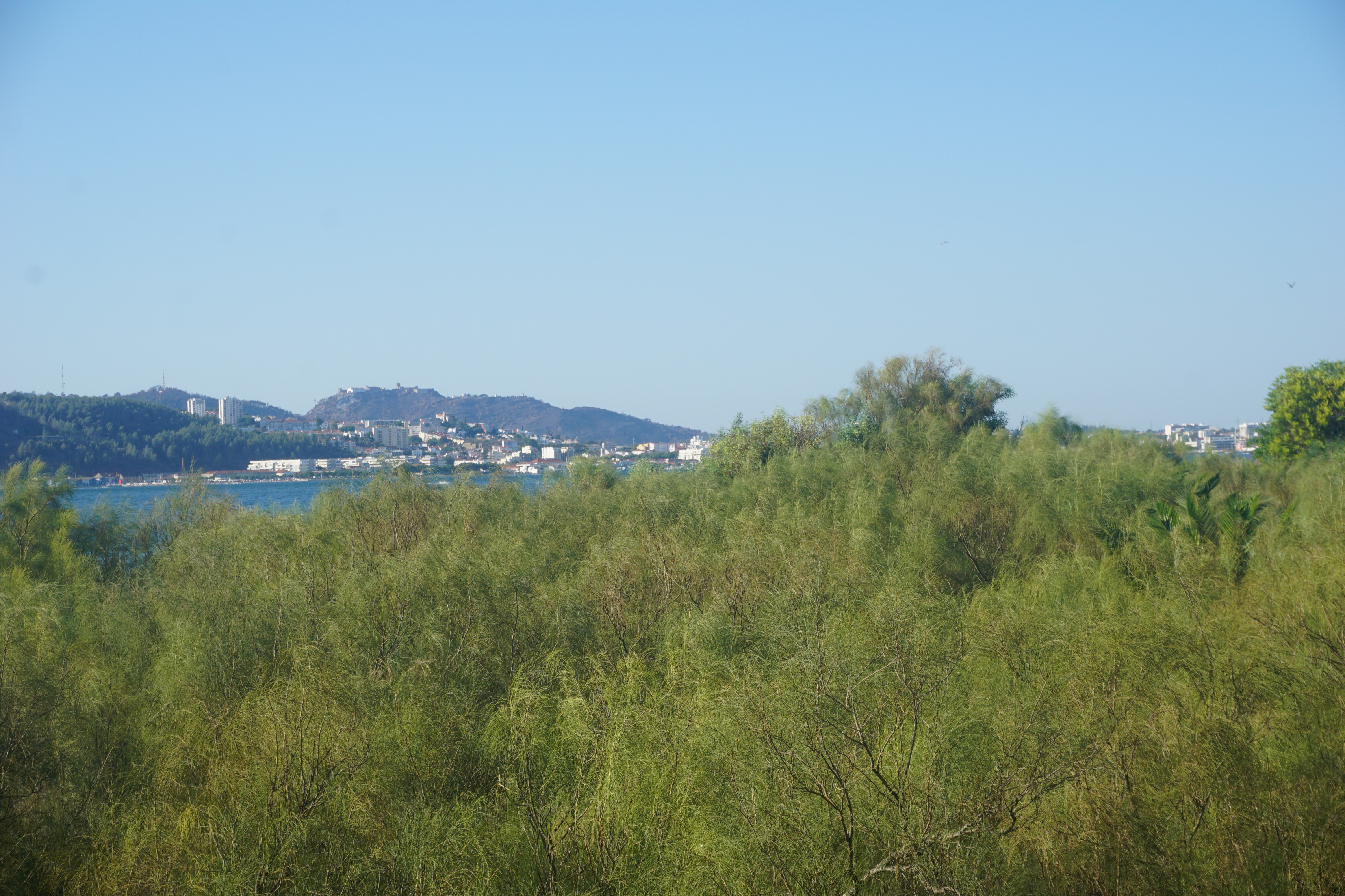 Portugal through Inês Reis eyes @inesreisx