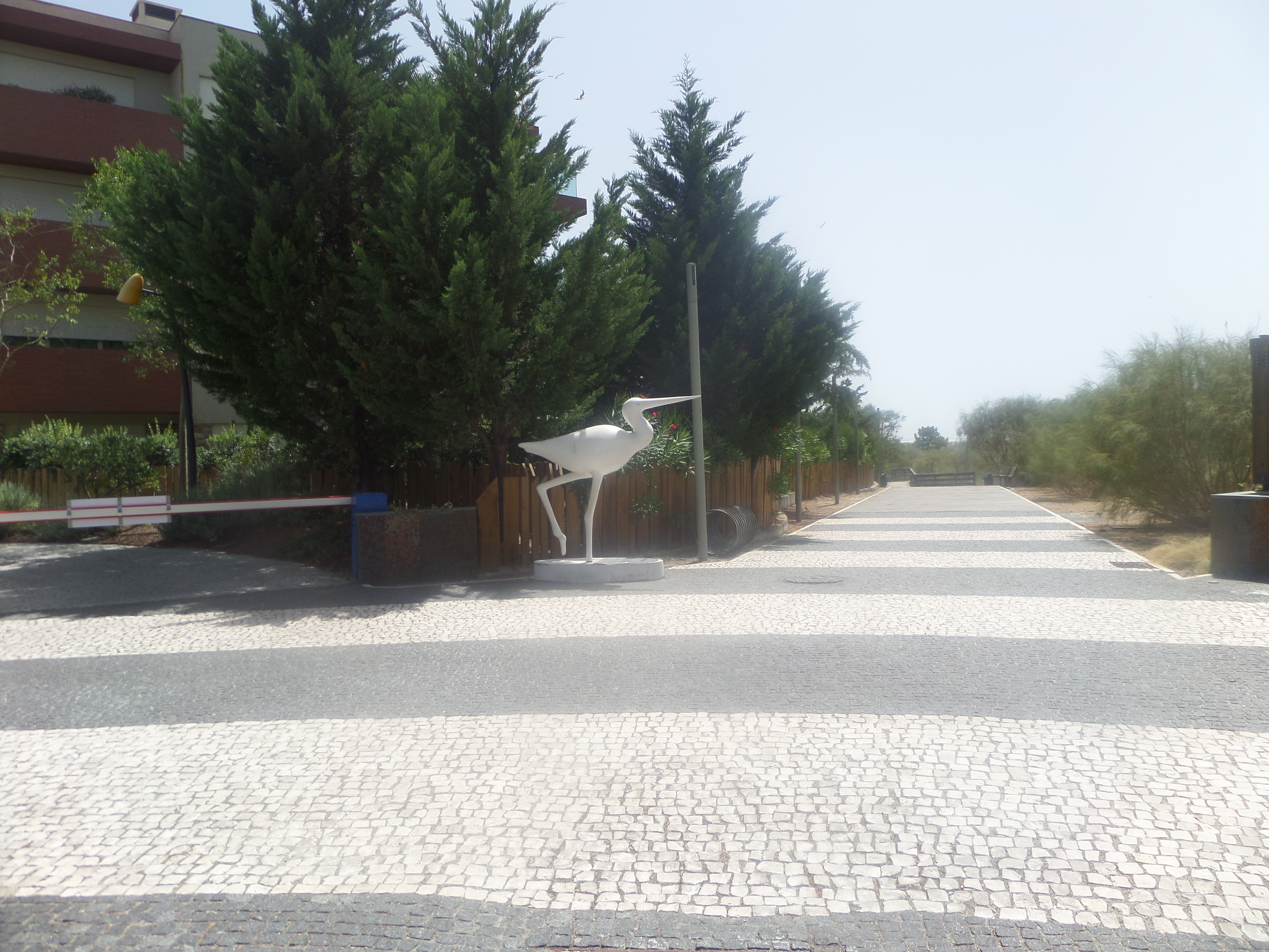 Portugal through Inês Reis eyes @inesreisx