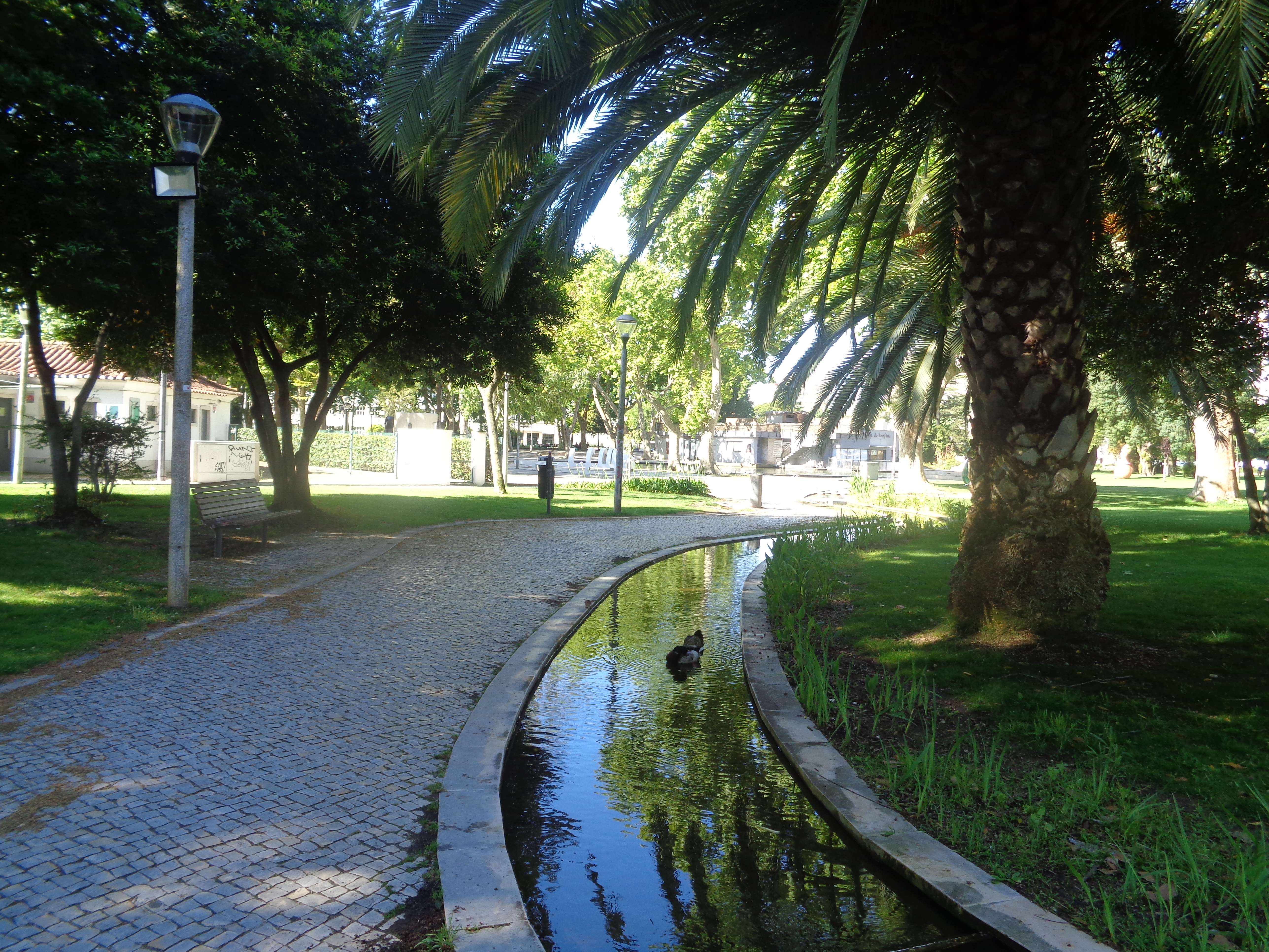 Portugal through Inês Reis eyes @inesreisx