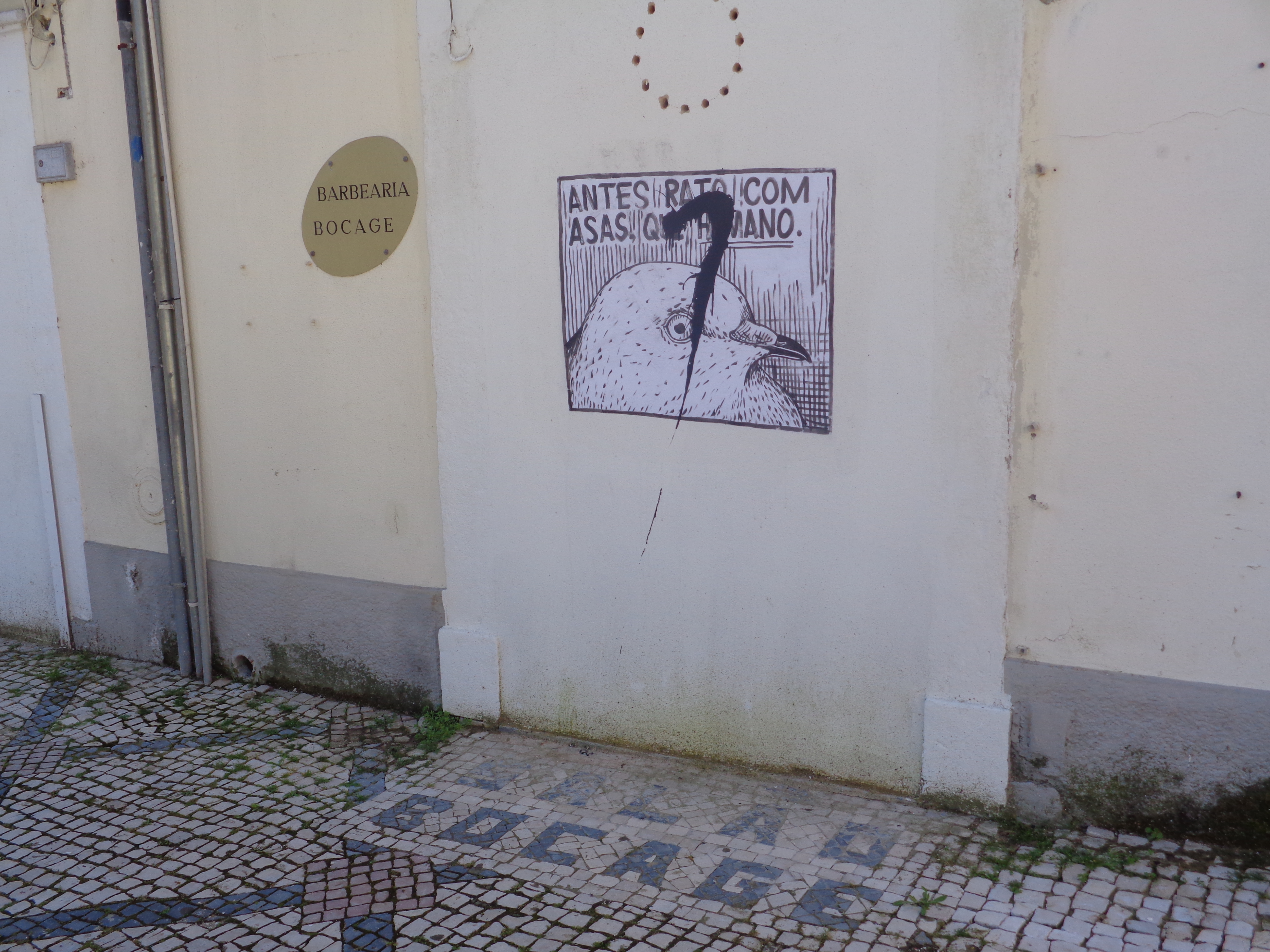 Portugal through Inês Reis eyes @inesreisx
