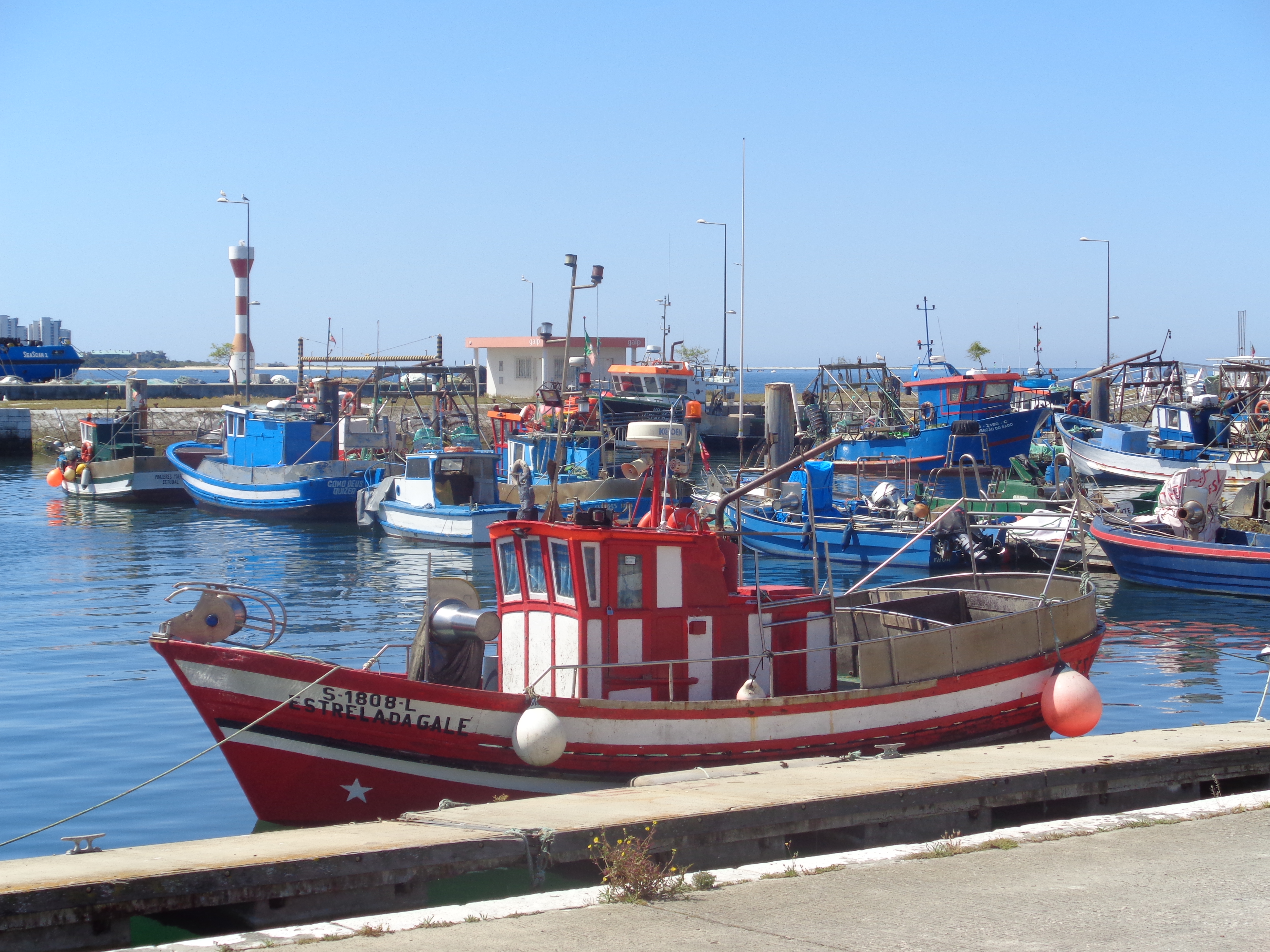 Portugal through Inês Reis eyes @inesreisx